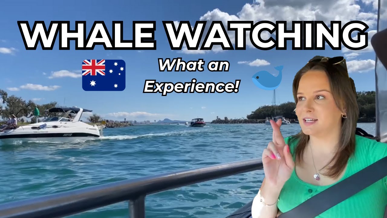 Incredible Sightings! Whale Watching in Australia | Living in Australia