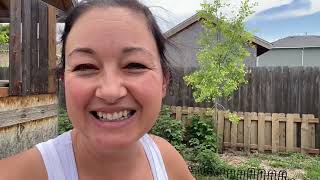 Our Garden Has EXPLODED! 🌻 Spring to Summer Garden Update