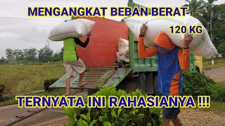 TERNYATA INI RAHASIA MENGANGKAT BEBAN BERAT || MUSIM PANEN TIBA