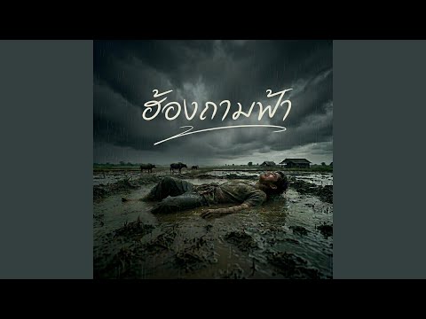 ฮ้องถามฟ้า