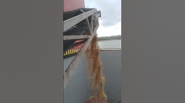 how load wheat in bulk on vessel