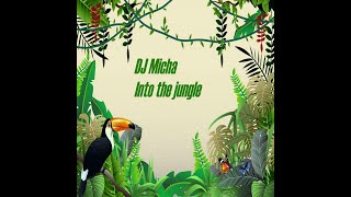 D J Micha (The Blooper) Promotion Edit