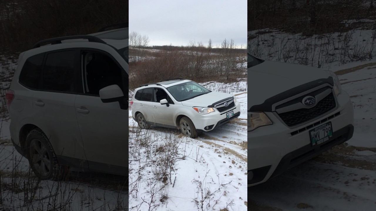 2015 Subaru Forester sand hill climb - X-Mode is no joke