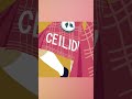 Learn Scottish Gaelic words and phrases #shorts