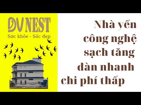 Video Nhà yến công nghệ sạch tăng đàn nhanh, chi phí thấp... - youtube