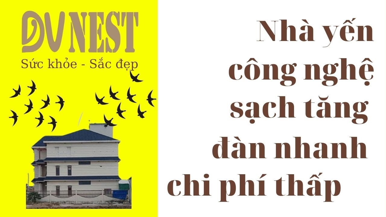 Nhà yến công nghệ sạch tăng đàn nhanh, chi phí thấp chủ nhà yến cần biết