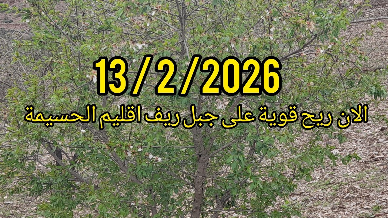 الان ريح قوية على الجبل ريف اقليم الحسيمة 