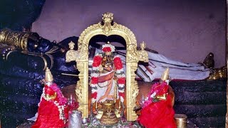 Srirangam Shri Namperumal Aadi 28 Thirucauvery Purappadu