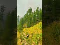 #1millionviews #nature #neturalviews #verialvideo #travel #mountainveiw #shortsvideo #shorts #love