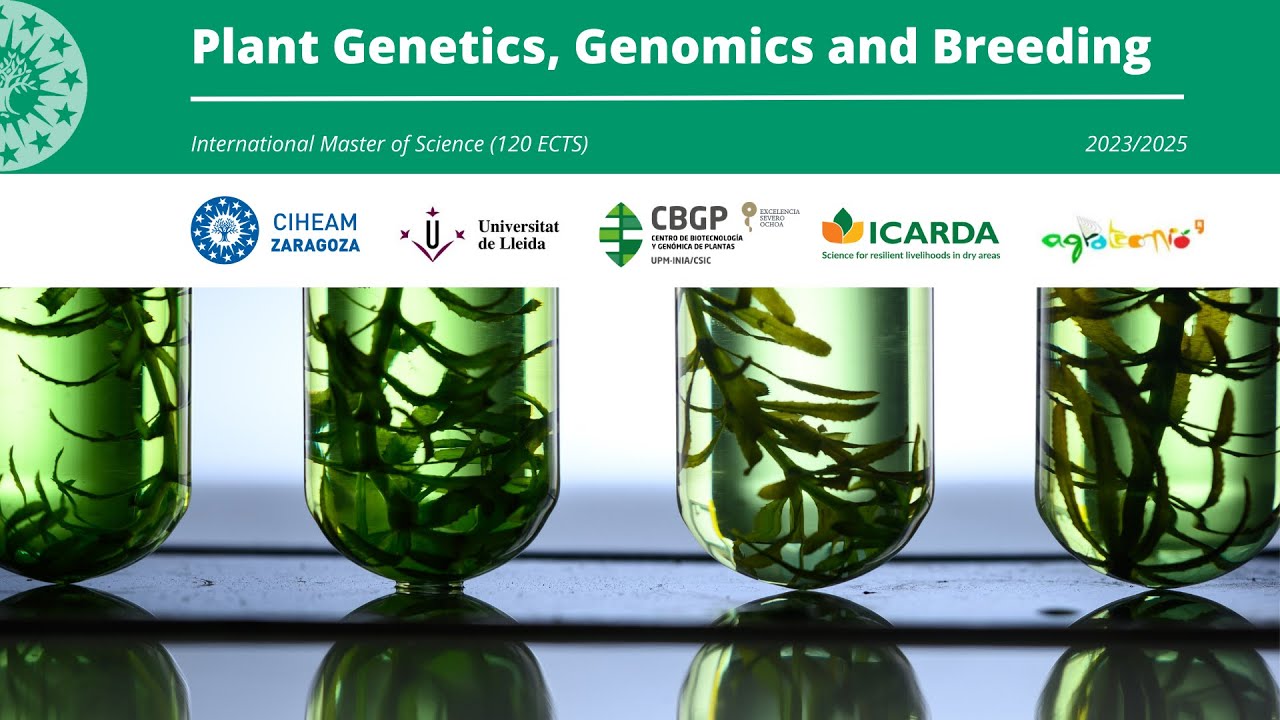 XXIV International Master in Plant Genetics, Genomics and Breeding | CIHEAM Zaragoza