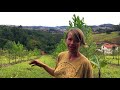 Successionnal Agroforestry at Epicentro Dalva - Karin, Brazil