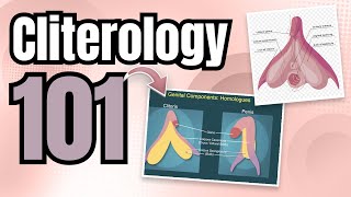 Cliterology 101