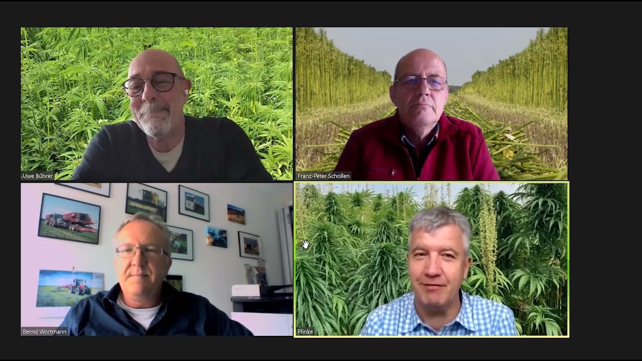 Online-Diskussion: Welche Nutzhanfsorten sind dieses Jahr besonders gefragt?