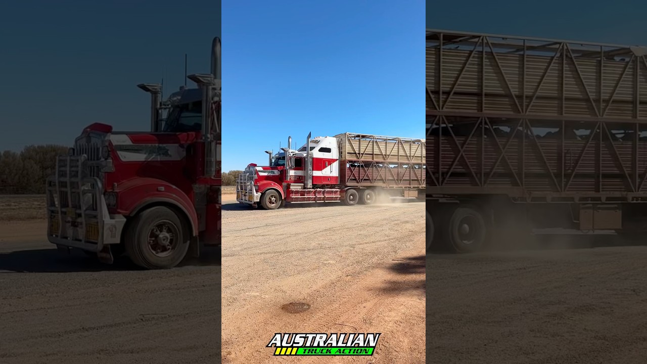 Kenworth livestock crate triple road train pulling in!