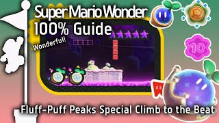 Fluff Puff Peaks Special Climb to the Beat (Super Mario Bros. Wonder Guide)