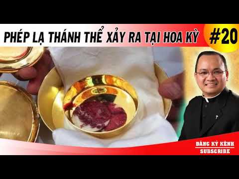 Video Phép lạ Thánh Thể xảy ra tại Hoa Kỳ - Linh mục Phạm... - youtube
