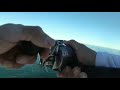 Höwk hot spot 250s | grouper 15 kg