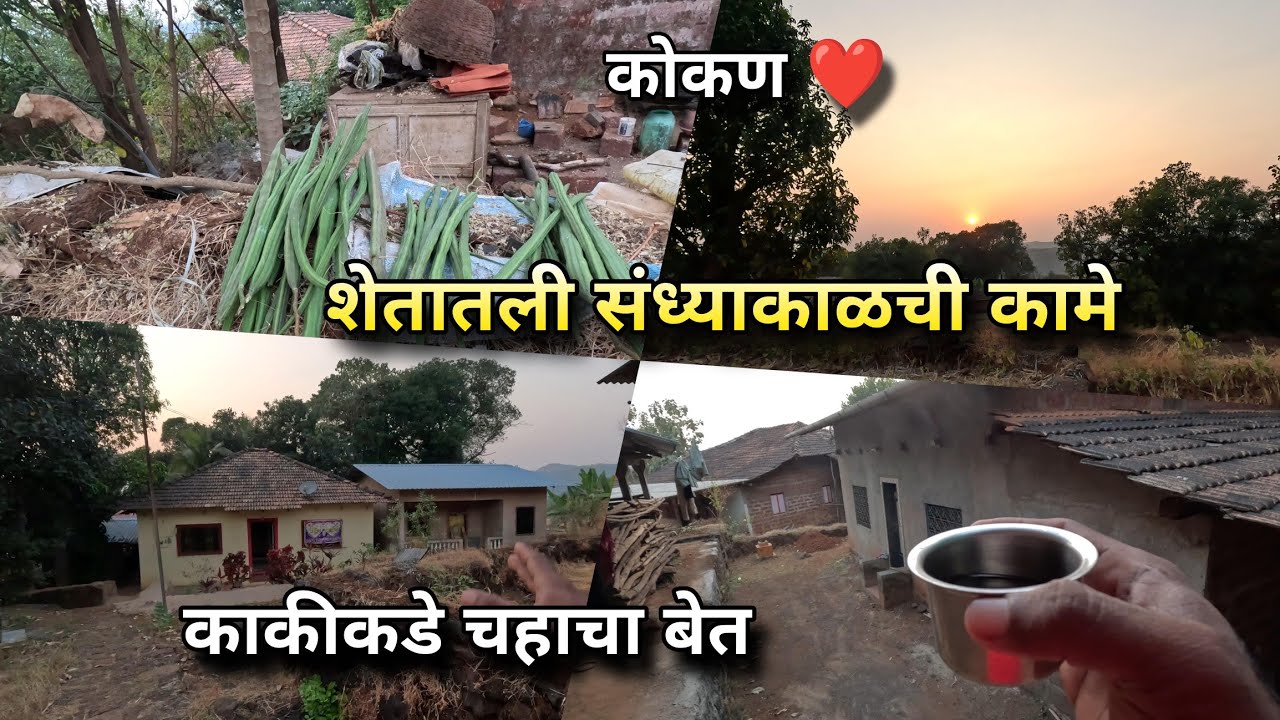 कोकणातल्या शेतातली संध्याकाळची कामं! काकीकडे झाला चहाचा बेत ❤️ Village Vlog, कोकणी जीवनशैली #Konkan