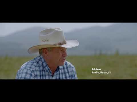 Beef Sustainability | McDonald's Canada - Beef Sustainability | McDonald's Canada