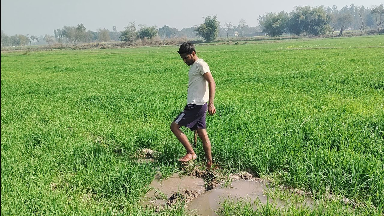 Manjeet Ke Sath Khet Me Pani Chalane Aa Gya☺️ 