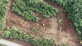Obra Limpieza Terreno Santa Inés Despeje interior | Cruce Norte ruta 5; Puerto Varas