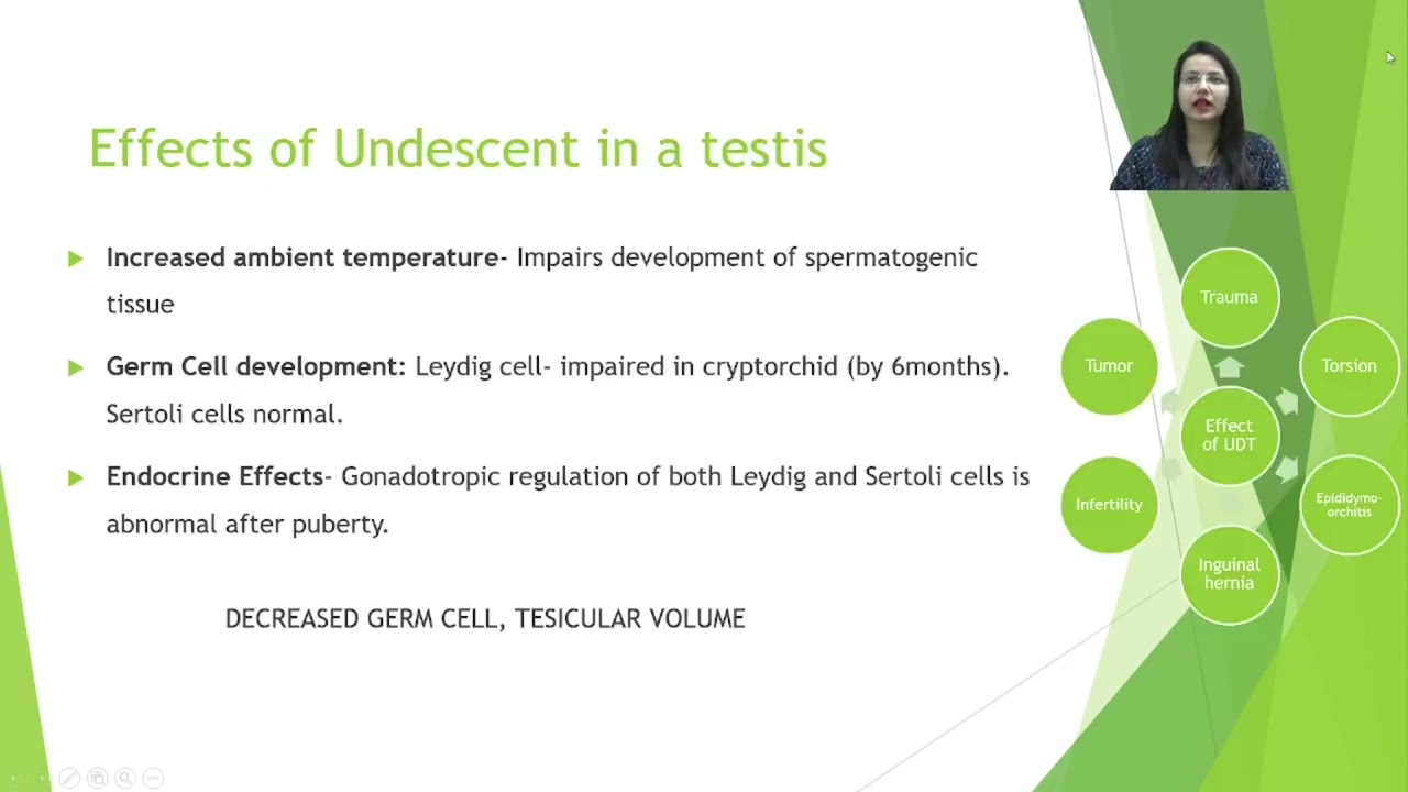 Лекция 3. Неопущение яичка (крипторхизм). Автор: д-р Каника Шармам, Детская хирургия, IMS BHU