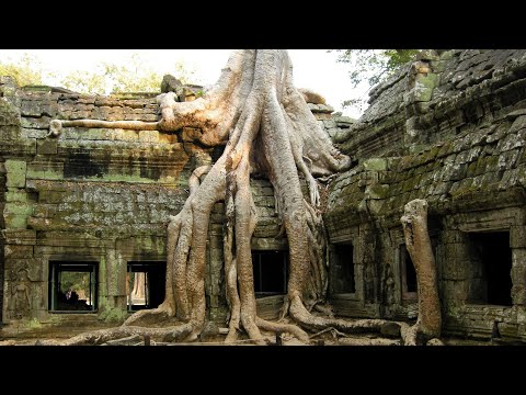 Video: Ta Prohm Er Et Tempel Oppdaget I Jungelen I Kambodsja Med Rare Bas-relieffer - Alternativ Visning