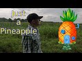 Just a pineapple music