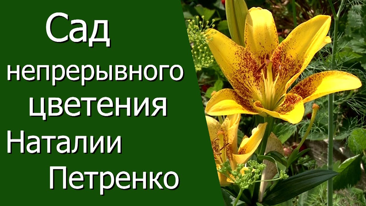 Наталья Петренко Новые Видео 2022 Года