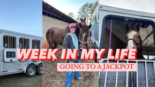 WEEK IN MY LIFE: going to a jackpot, riding horses, broodmare scare, goodwill, + buying a golf cart