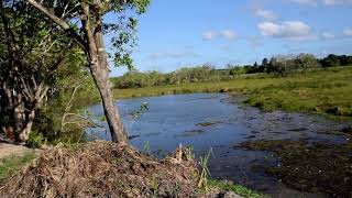 DSC 0076 West Sector, Storm Drain removal and duplication of Ayrton Senna Ave. and sports facilit...