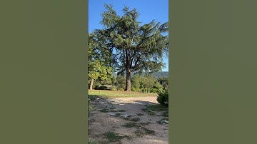 سورة غافر -قراءة-القرآن العظيم