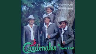 Video thumbnail of "Cardenales de Nuevo León - Amor Chiquito"