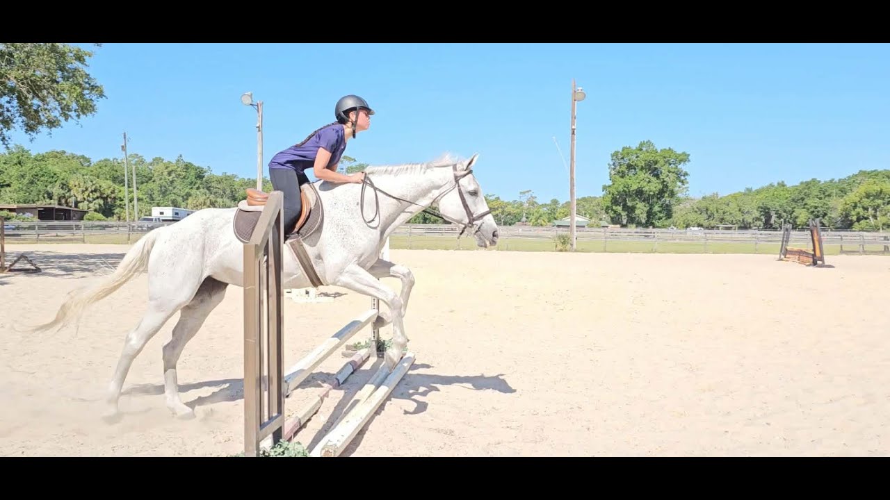 Day 11 -of doing it anyway. R.I.P Lady Jade ( personal 365 day challenge )