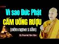 Vì Sao ĐỨC PHẬT Cấm Uống Rượu? Nhân Quả Không Phải Ai Cũng Biết | SC. Thích Nữ Tâm Tâm
