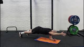 Elbow plank arm raise