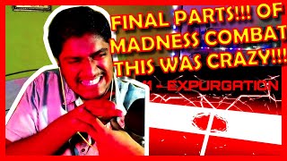 MADNESS COMBAT PART 11 + EXPURGATION, DISSENTER, P.S.A.PIRACY & AN EXPERIMENT!!! REACTION!!! [UH]