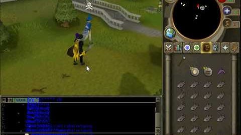 runescape mini map and chatbox graphic glitch