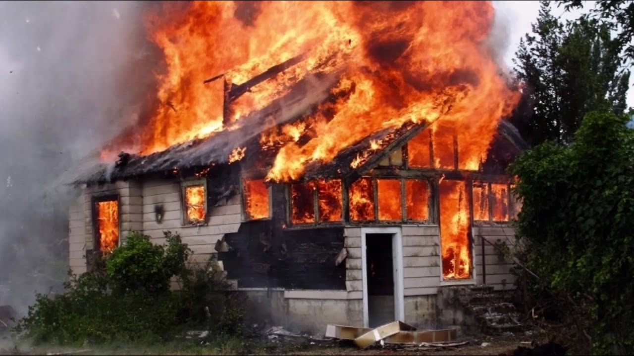 Reflexion NO SUELTES AL CABALLO.