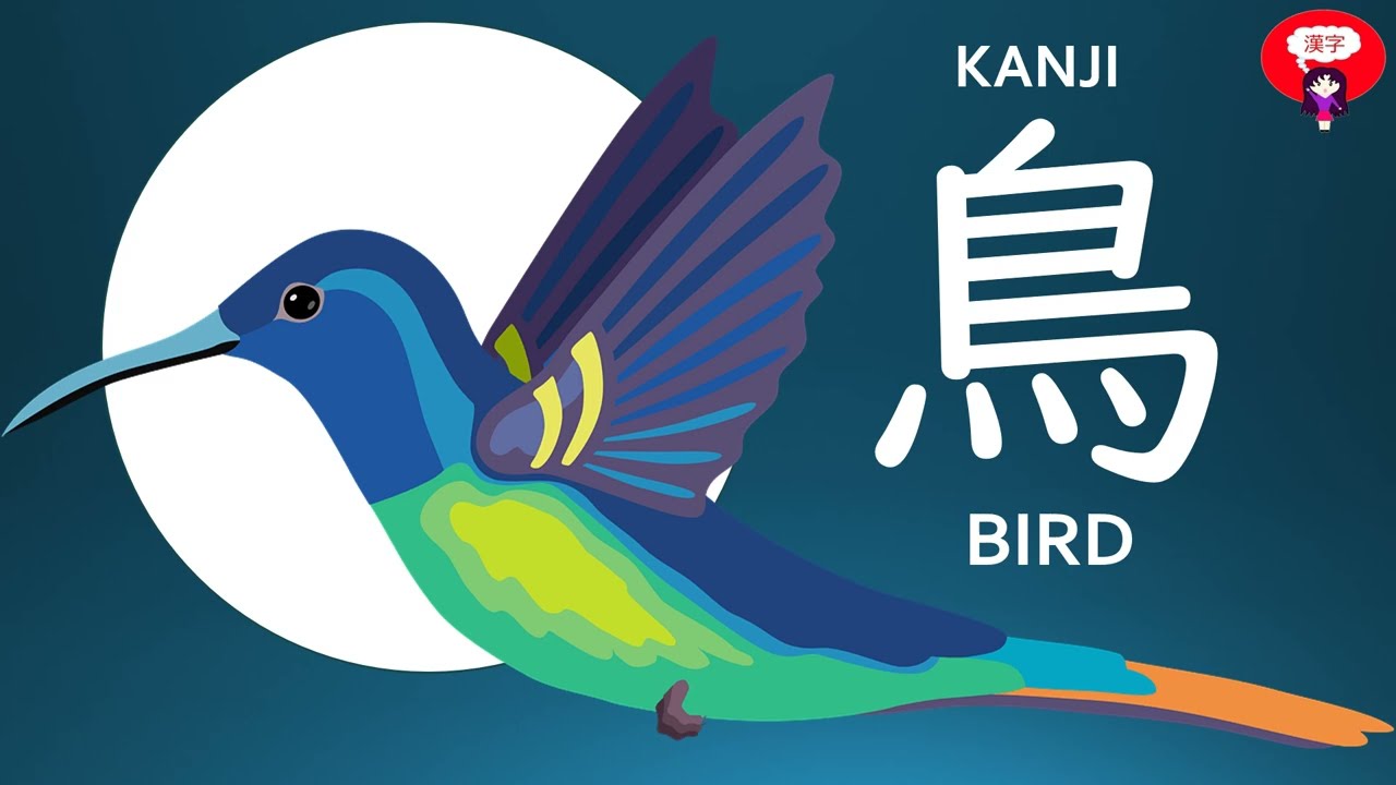 鳥龍 The beautiful radical & Kanji 鳥 Bird (JLPT N4) - YouTube