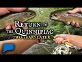 Return to the quinnipiac two years later connecticut fly fishing