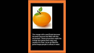 Which orange floats & which orange sinks | Knowledge & Facts Wealth