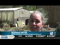 ‘Idaho Gives’ campaign begins