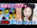 【白猫プロジェクト】温泉キャラガチャ 28連!!【初回神引き?!】