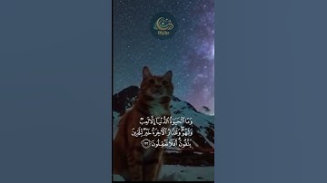 Mohamed Obada  Surah Al An'am, Ayah 32 -محمد عبادة، سورة الأنعام، الآية 32