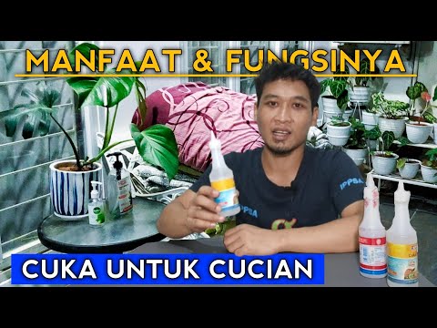 Video: Apakah cuka akan merusak minyak yang menggosok perunggu?