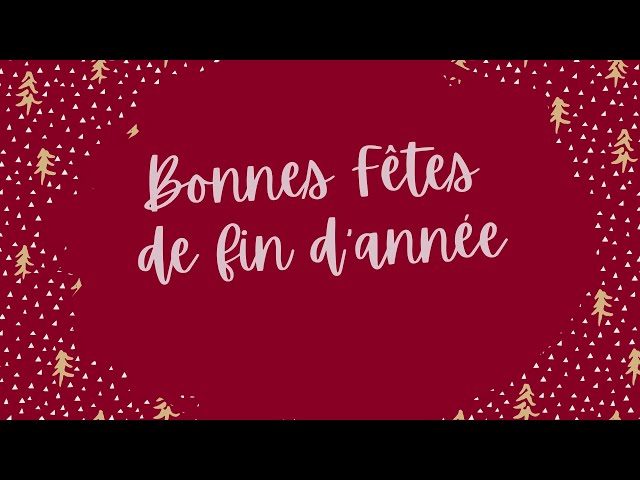 Bonnes fêtes de fin d'année 2020 - PROEVOLUTION