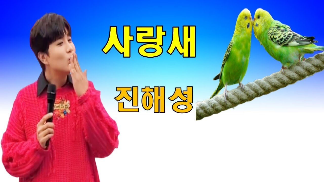진해성(신곡)~사랑새 - YouTube