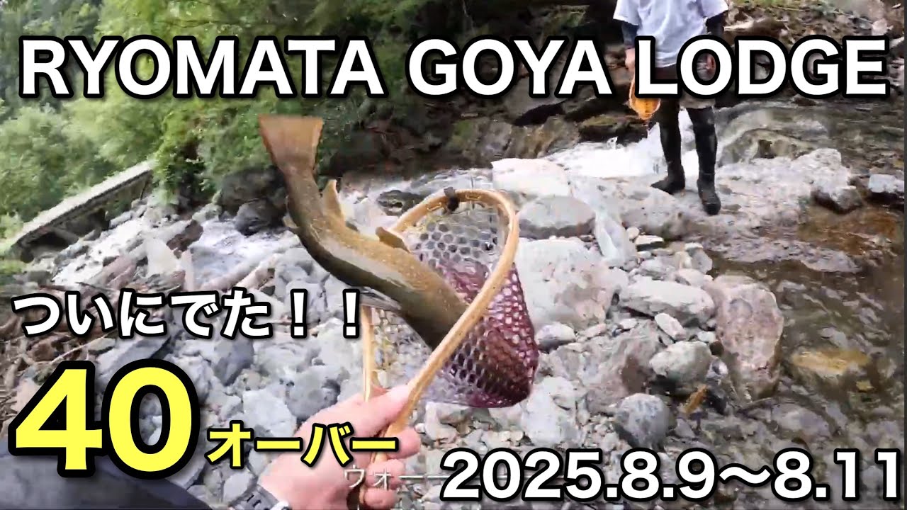 南ア 両股小屋 ヤマト岩魚を求めて【渓流釣り冒険記】