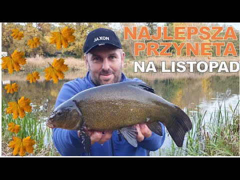 Najlepsza przynęta listopad